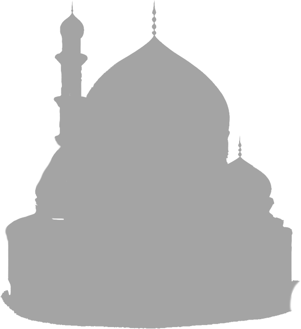 What We Provide